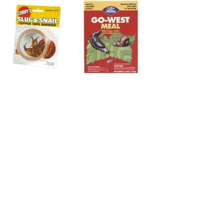 Picture for category Mollusk Control